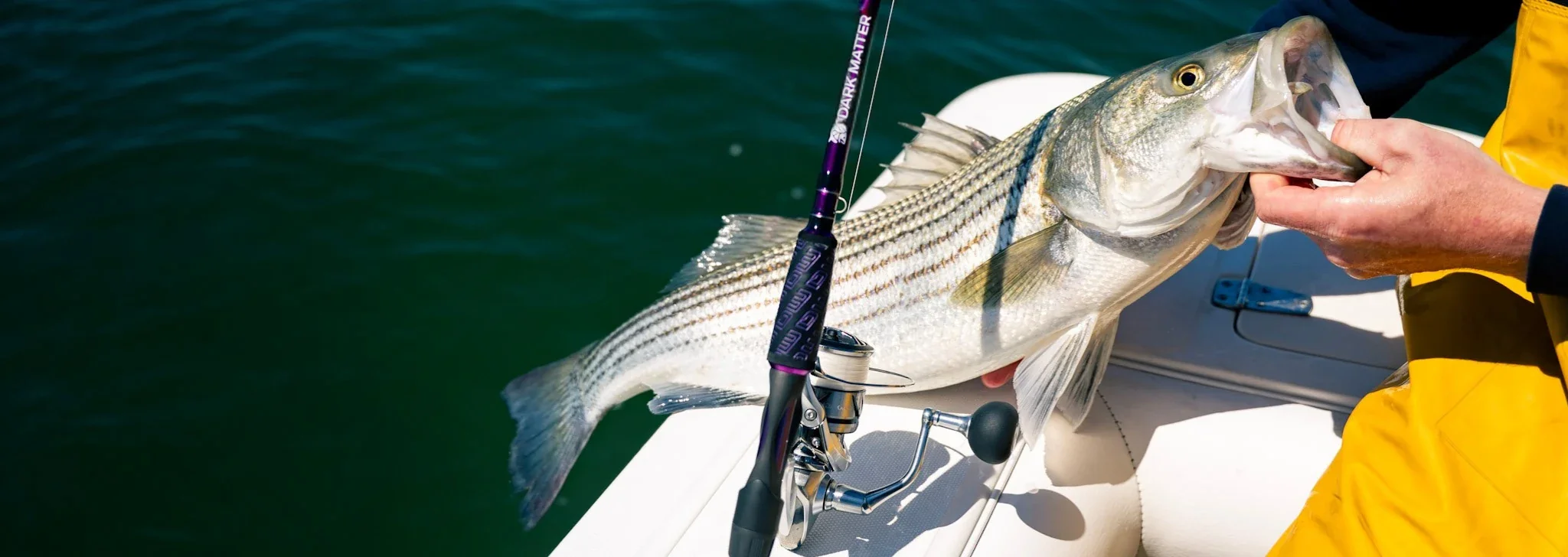 Master Every Catch with J&H